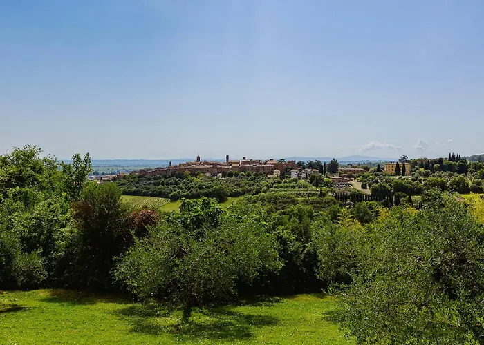 Scianellone Torrita di Siena